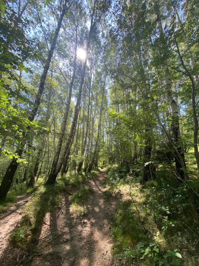 Sanmari_Forest Ledenice Bagian luar foto